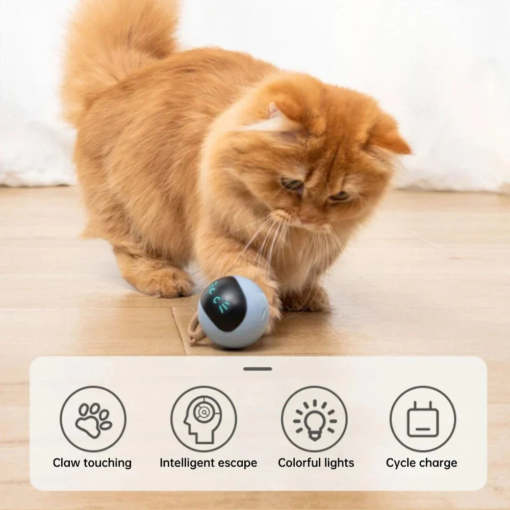 Magic Ball Cat Toy Rechargeable Electric Smart Cat Amusement Stick To Relieve Boredom Self-Happy Toy Ball