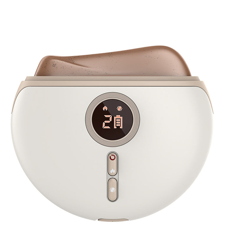 Electric Gua Face Massager