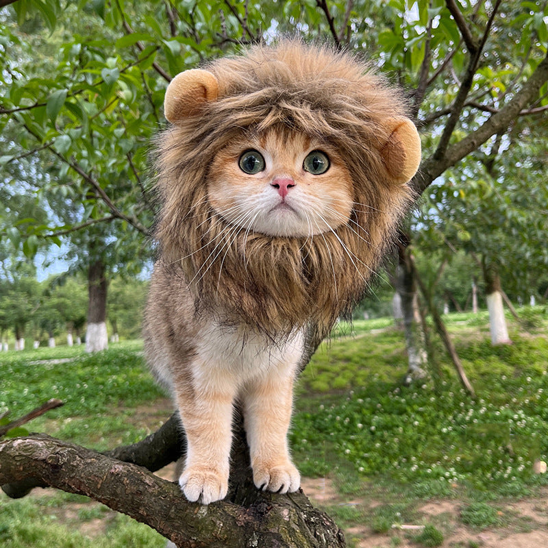 Pet Cat Lion Headgear Rabbit Ears Frog Bear Pet Hat Funny Headdress Dress