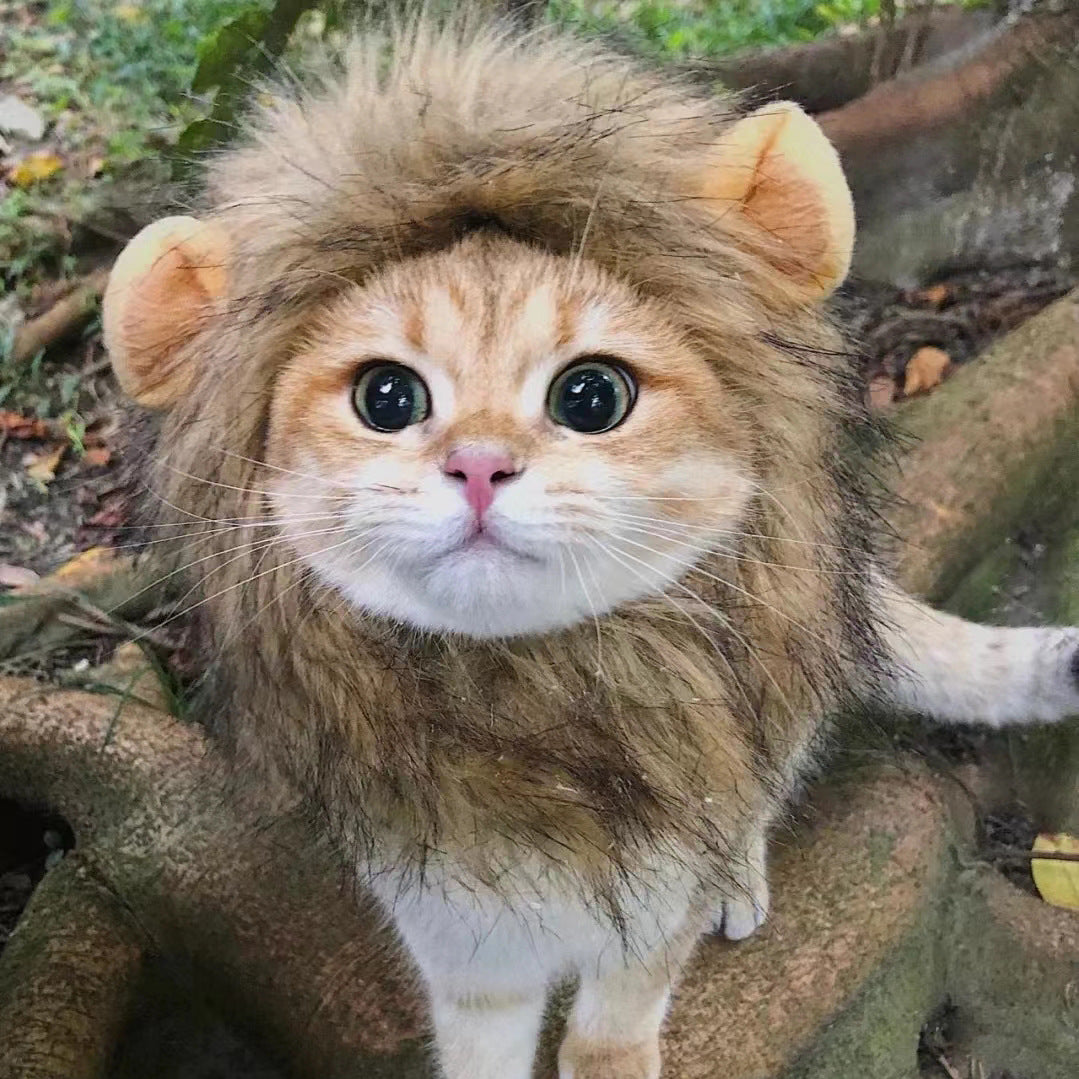 Pet Cat Lion Headgear Rabbit Ears Frog Bear Pet Hat Funny Headdress Dress