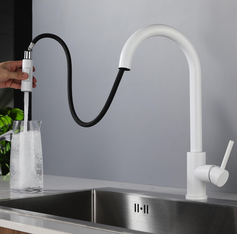 Pull-out Faucet Sink Basin Sink Rotating