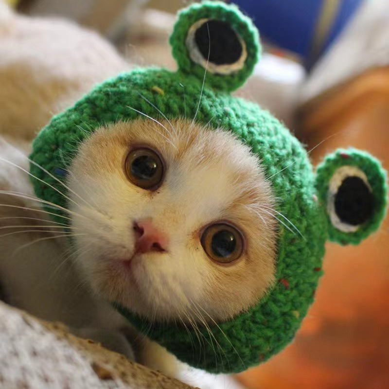 Pet Cat Lion Headgear Rabbit Ears Frog Bear Pet Hat Funny Headdress Dress