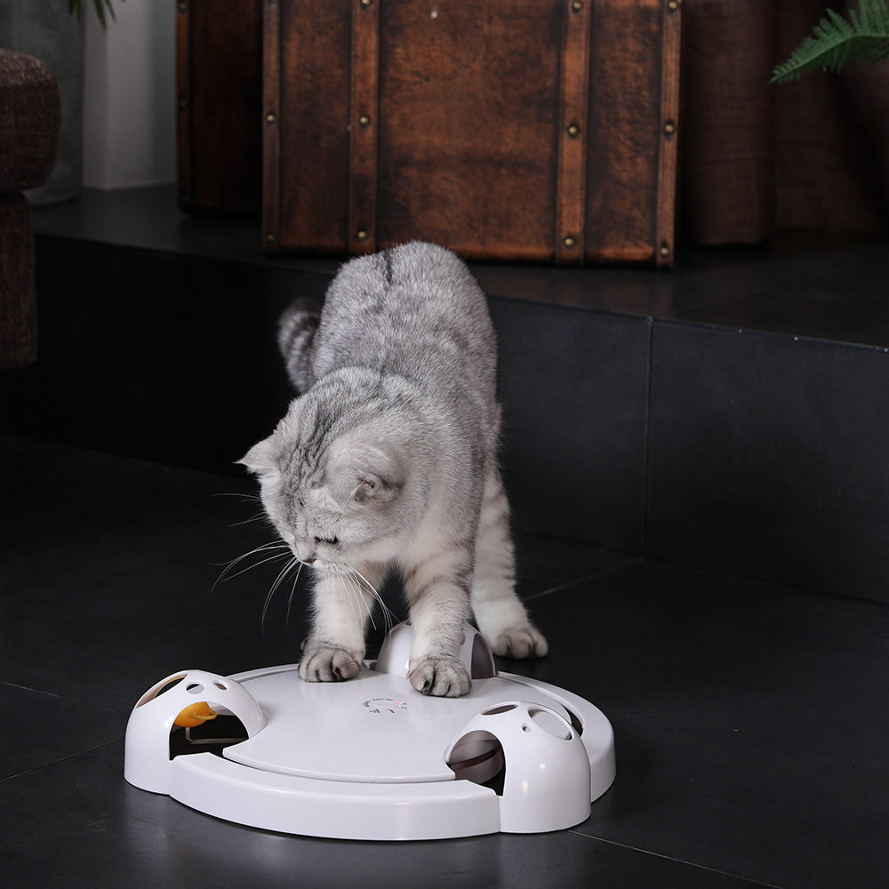 Product Electric Cat Toy On Behalf Of Cat Turntable Free Hands Interactive Pet Toy Hunting Mouse
