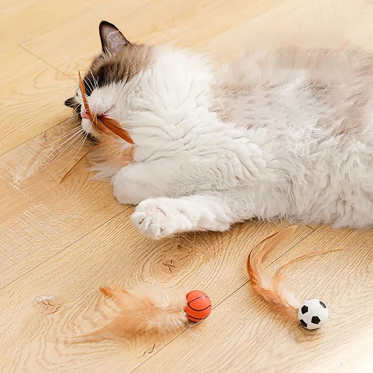 Pack Of 3 Feather Rubber Balls Throwing Cat Toys