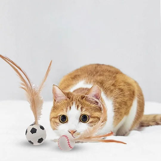 Pack Of 3 Feather Rubber Balls Throwing Cat Toys