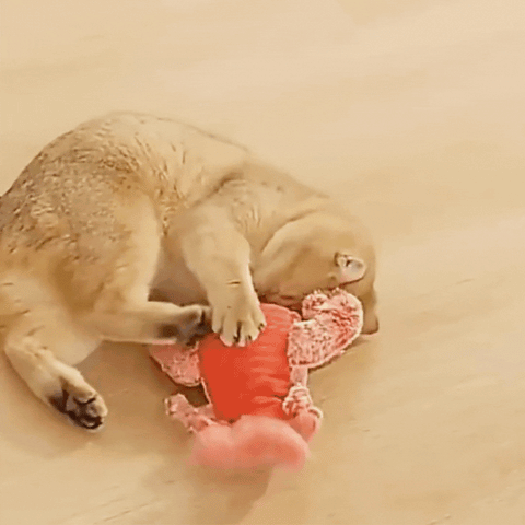 Pet Gravity Jumping Shrimp Plush Toy